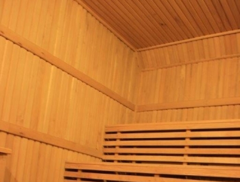 Zdjęcia - zdjęcie5